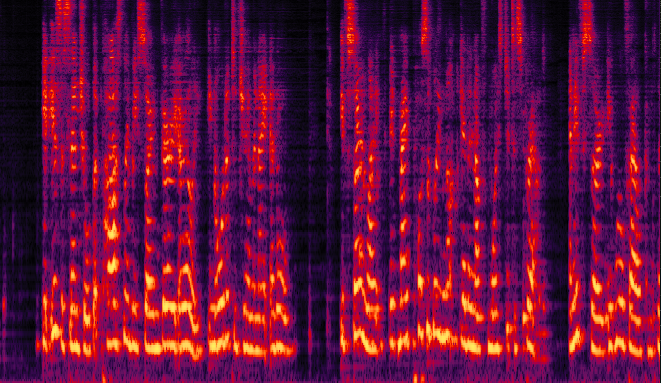 Spectrogram
